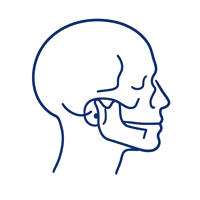 Ícone representando a articulação temporomandibular